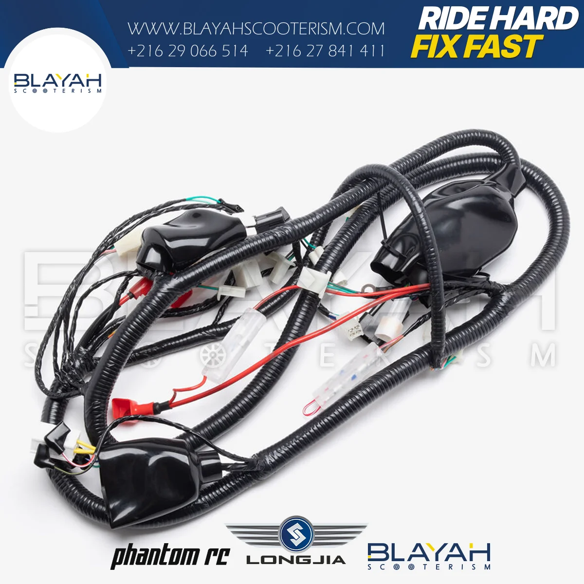 Faisceau Électrique z1 - Longjia - Pièce Scooter Tunisie